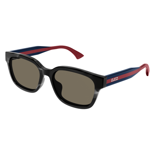 HAVANA BLUE BROWN