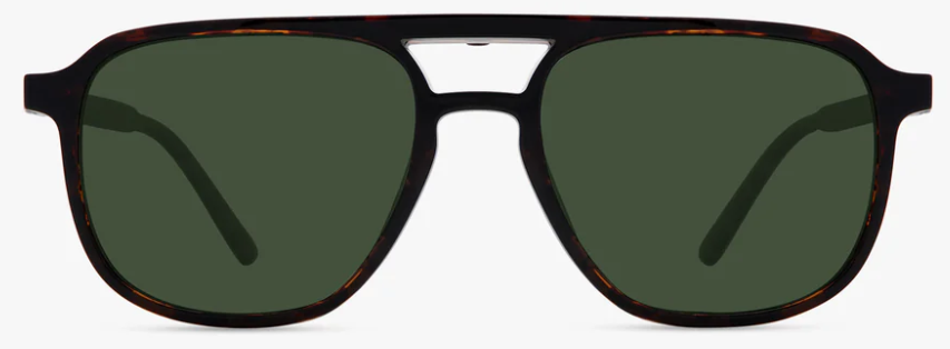 Dark Tortoise
