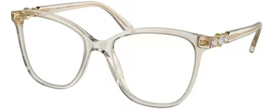 SK2020 TRANSPARENT BEIGE 54/18/140