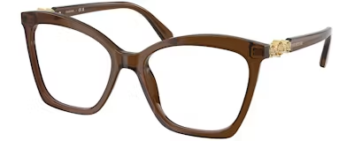 SK2053 TRANSPARENT BROWN 54/17/140