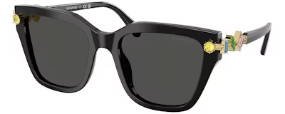 SK6041 BLACK 53/19/140