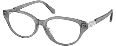 SK2058D TRANSPARENT DARK GREY 54/16/145