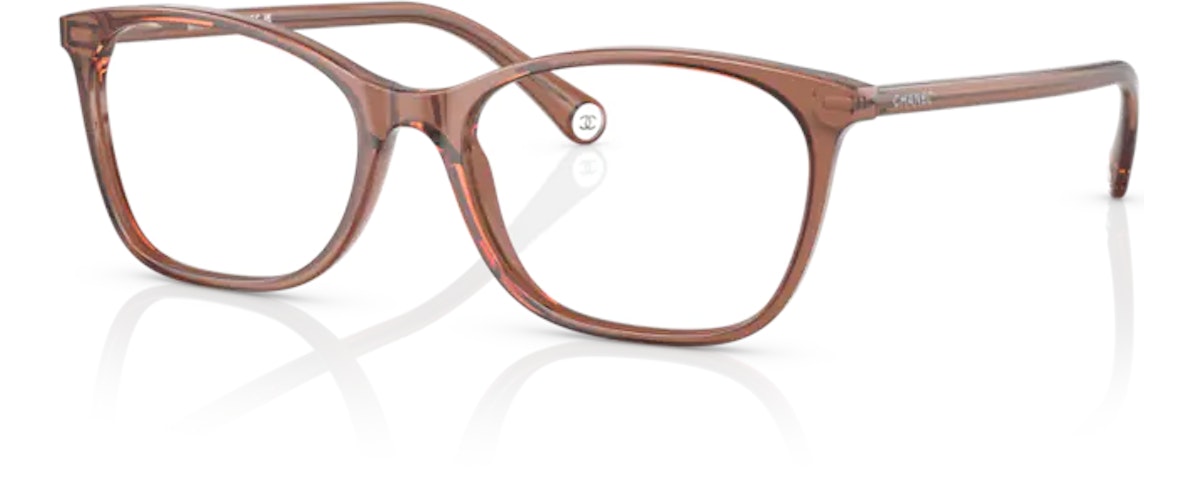 1709 TRANSPARENT BROWN