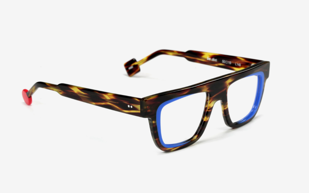 Shiny Dark Veined Tortoise