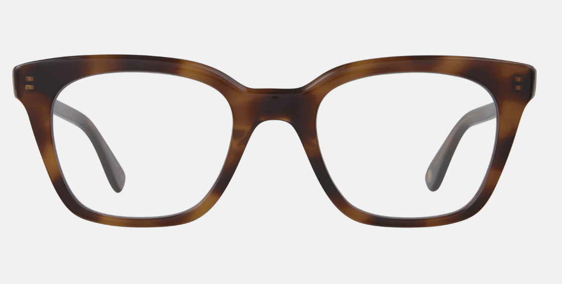 Spotted Brown Shell