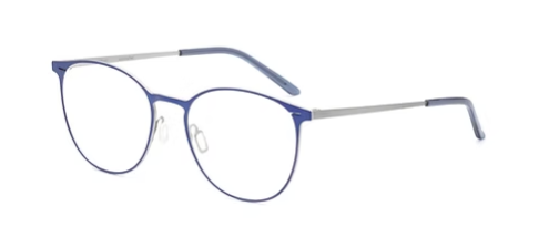 Blue/Silver