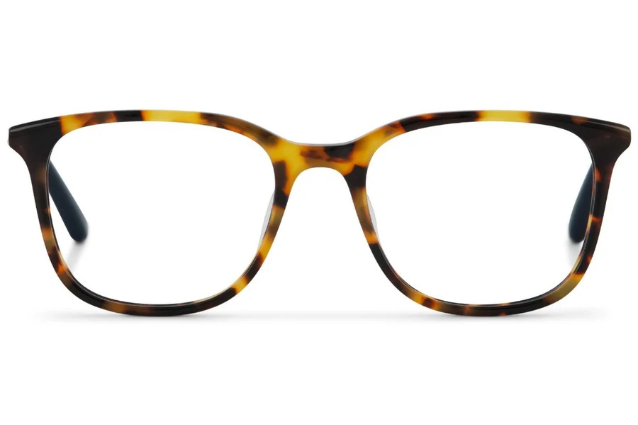 BLONDE TORTOISE