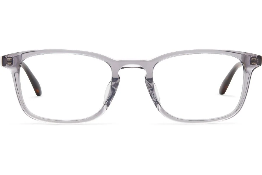 RX- ISAAC 54 SMOKE GREY CRYSTAL/DARK TORT