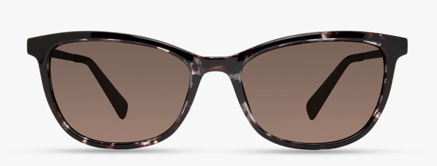 DARK PURPLE TORTOISE