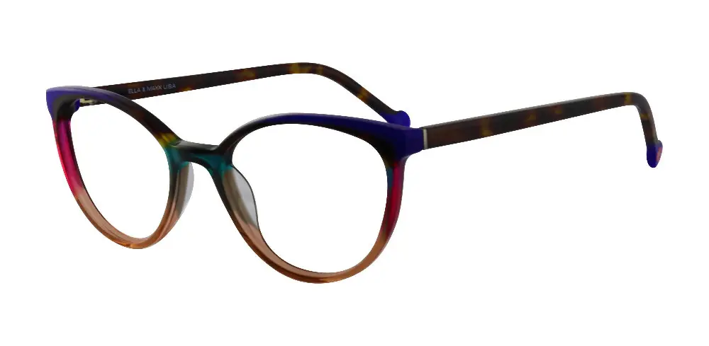 c36 Tortoise Gradient
