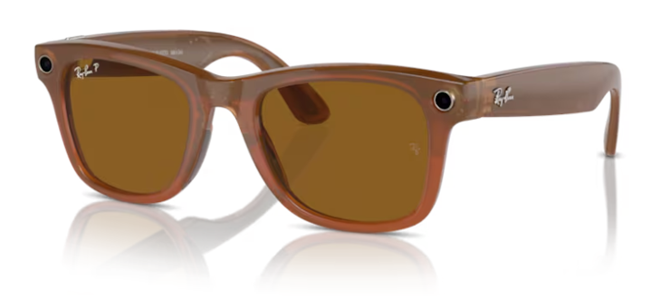 RW4008 WAYFARER / MATTE BLACK