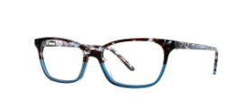 Denim Tort