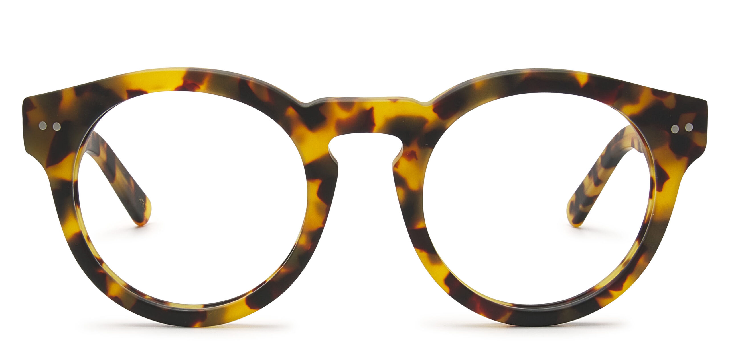 Matt Blonde Tortoise