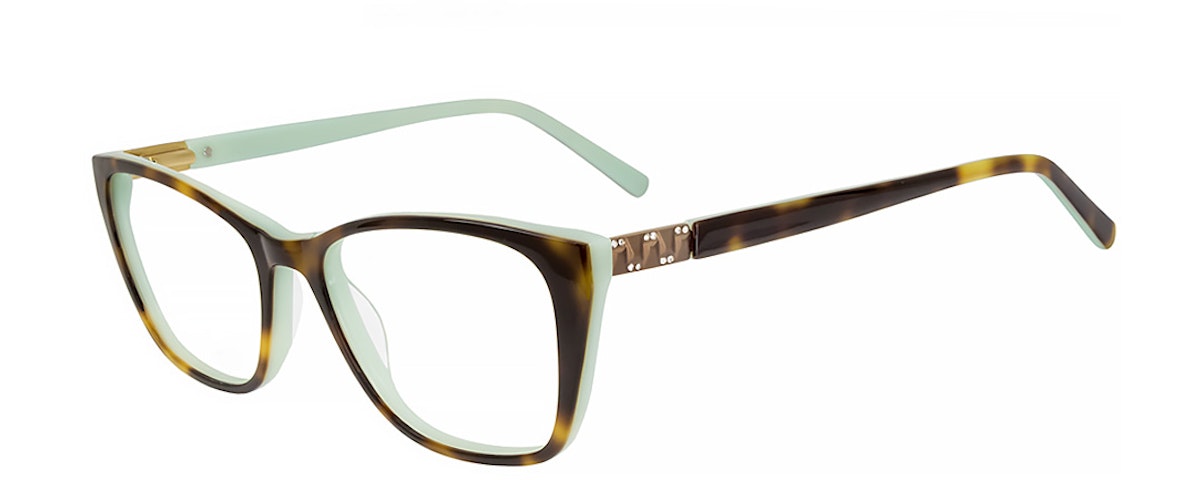 Tortoise/Mint
