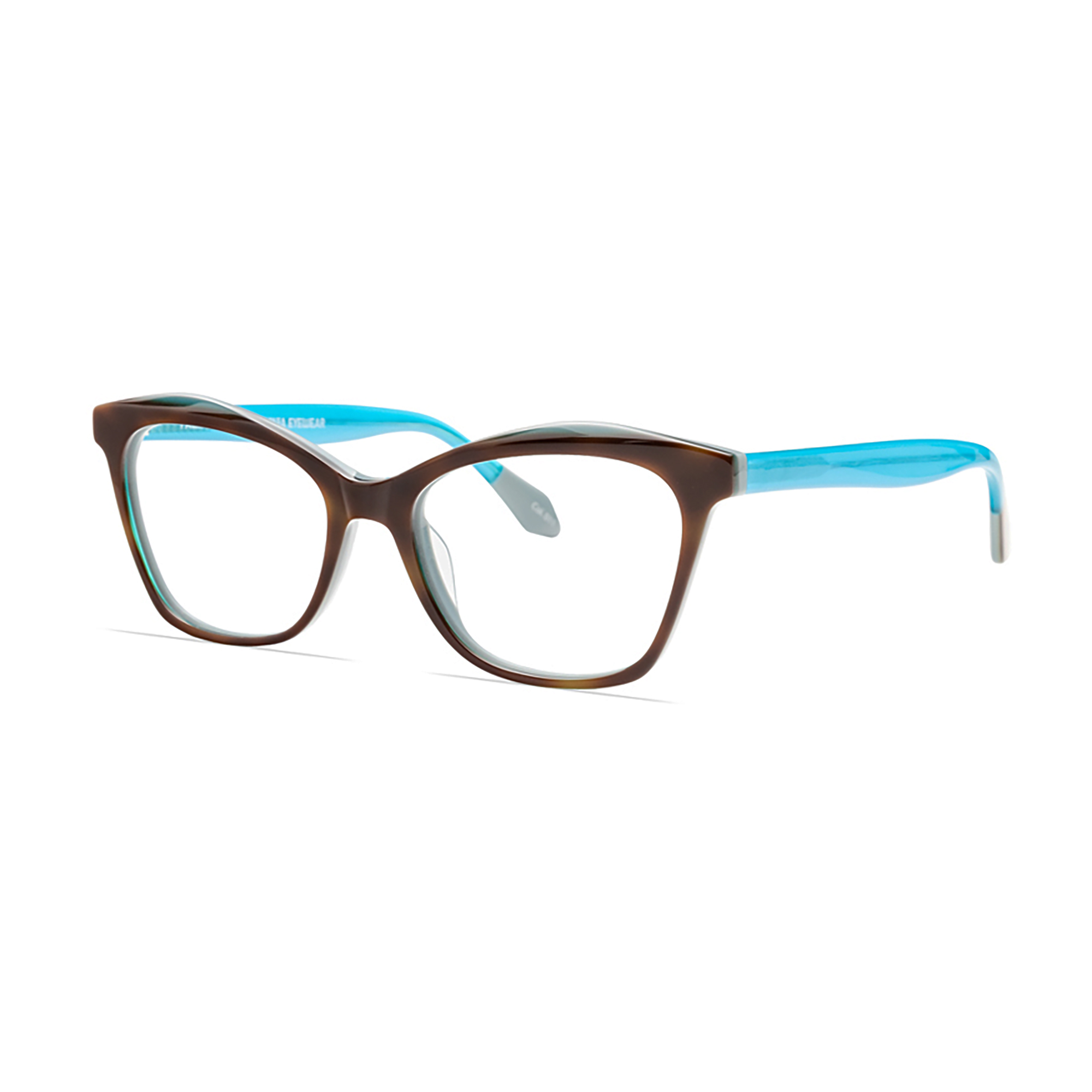 Tortoise/Teal