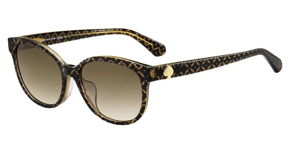 Brown / Brown Gradient