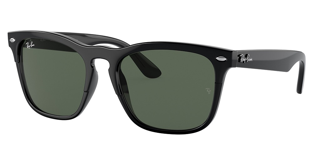 Ray-Ban RB4487F STEVE round sunglasses in Black/Dark Green