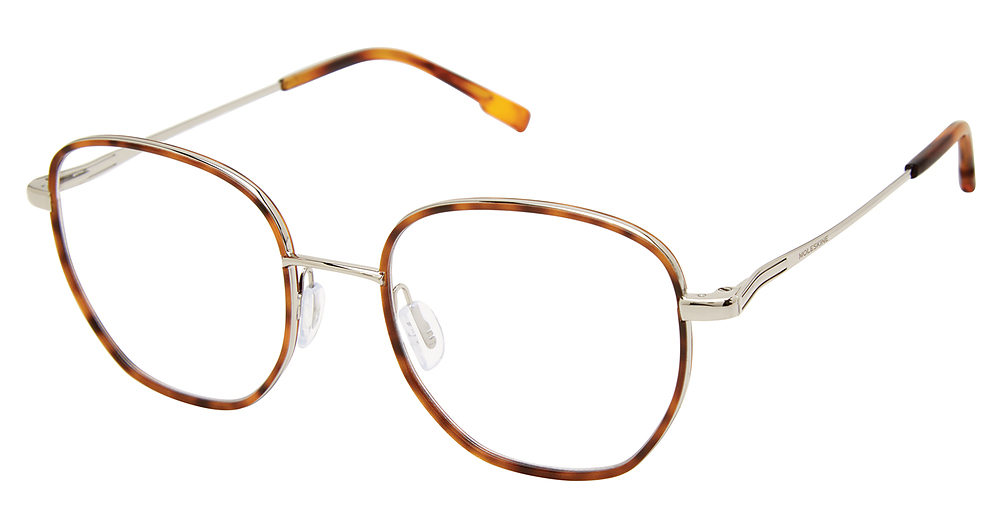 TORTOISE/SILVER