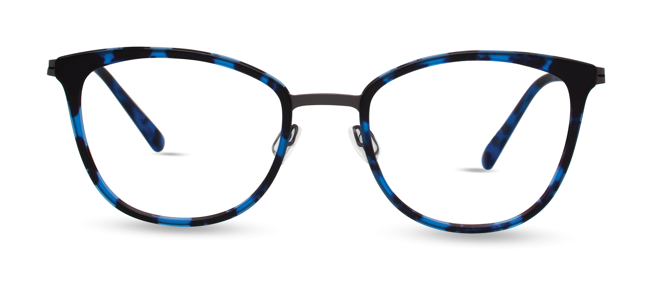 BLUE TORTOISE