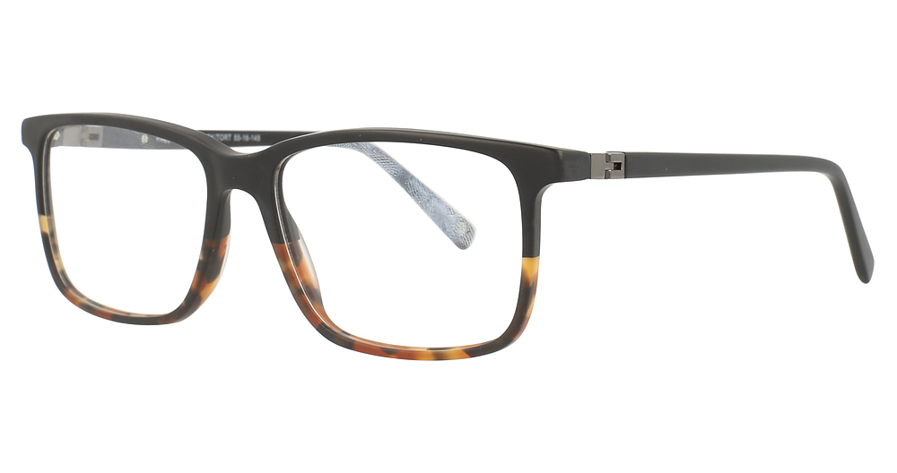 Black/Tortoise