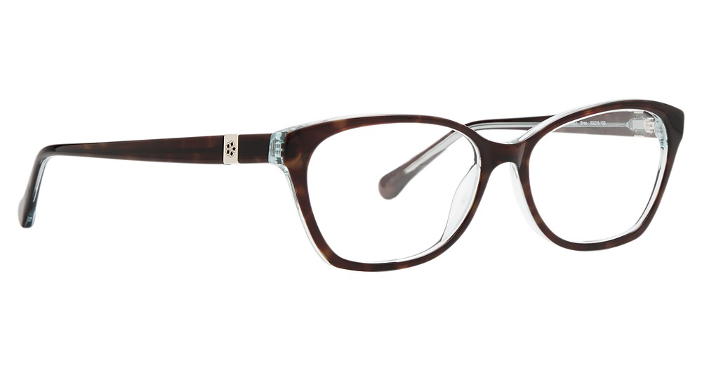 Tortoise/Blue