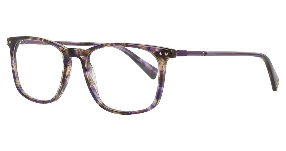 IRIS TORTOISE