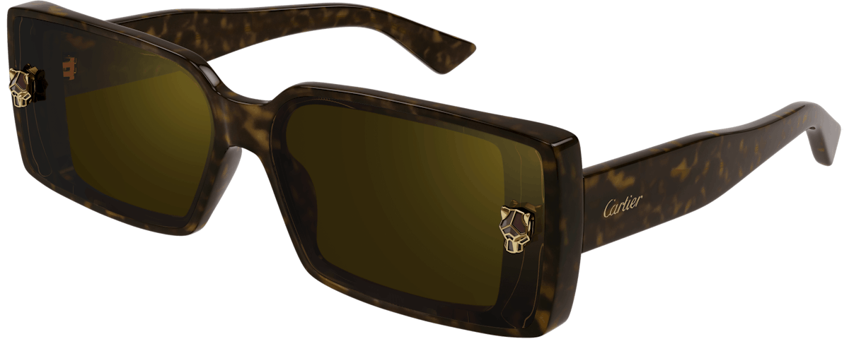 HAVANA / BROWN