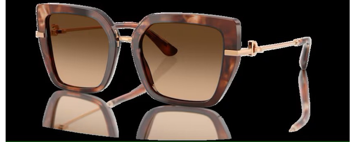 HAVANA / BROWN GRADIENT