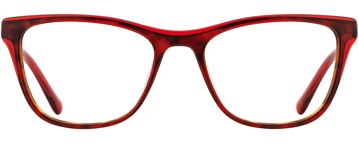 Red Tortoise