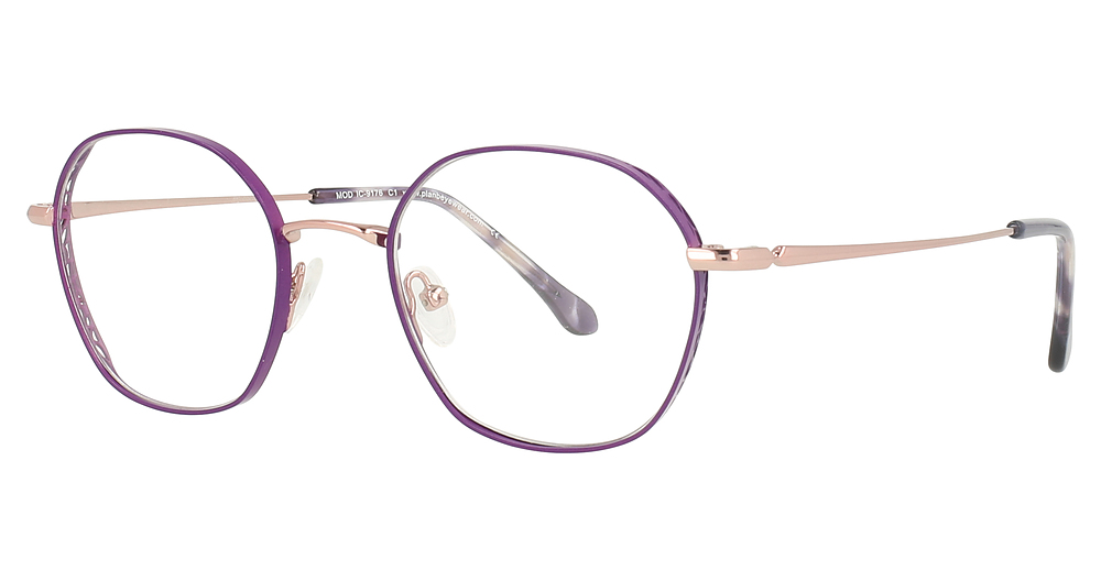 PURPLE/ GOLD