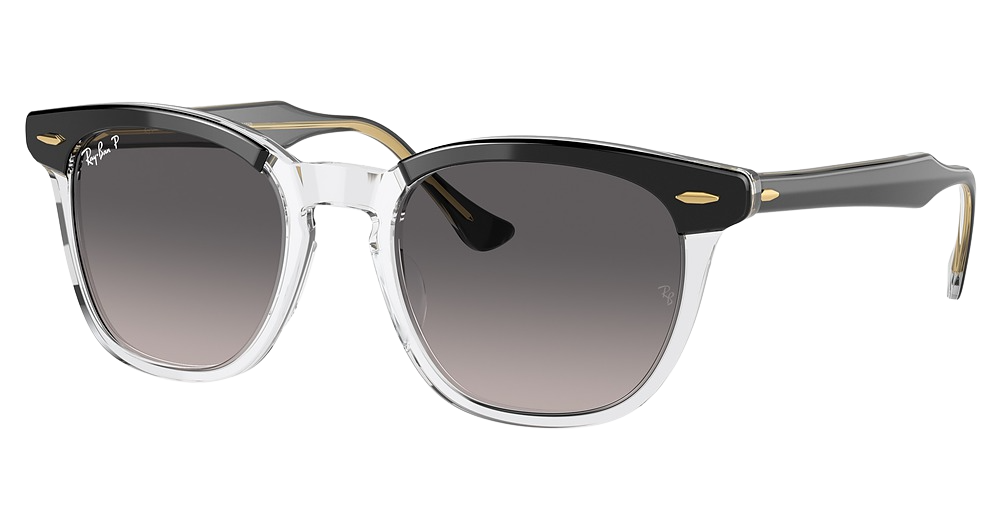 Ray-Ban RB2298 HAWKEYE round sunglasses in Black on Transparent/Grey Gradient Polarized