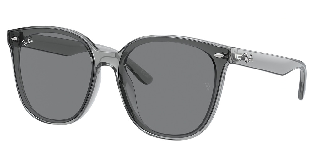 TRANSPARENT GREY / DARK GREY