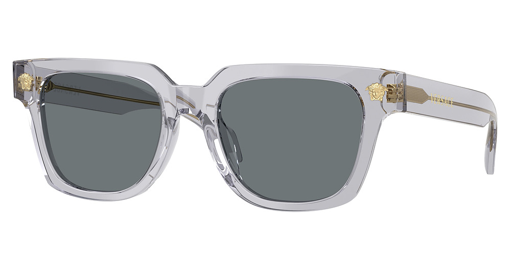 TRANSPARENT GREY / DARK BLUE