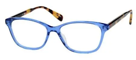 Blue/Tortoise