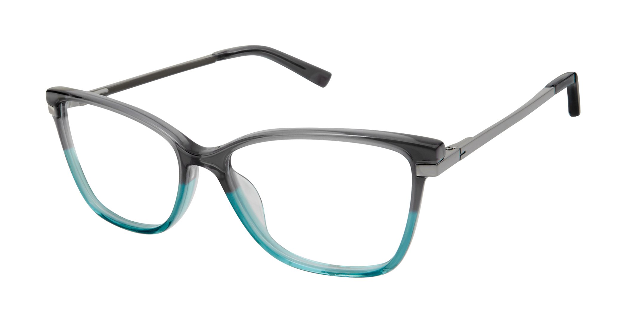 Grey Teal