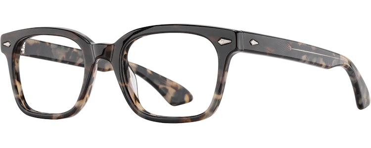 Safari Tortoise