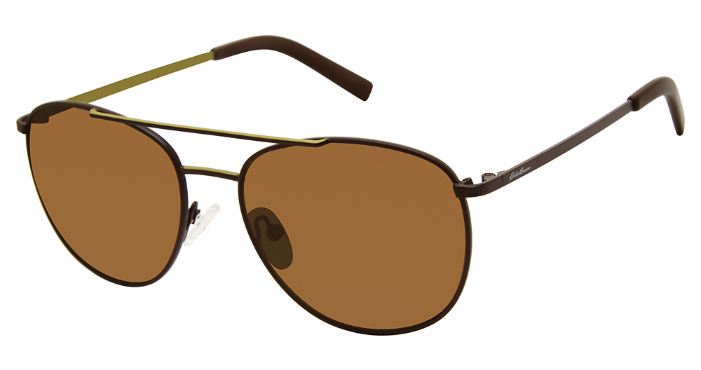 Brown / Brown Polarized