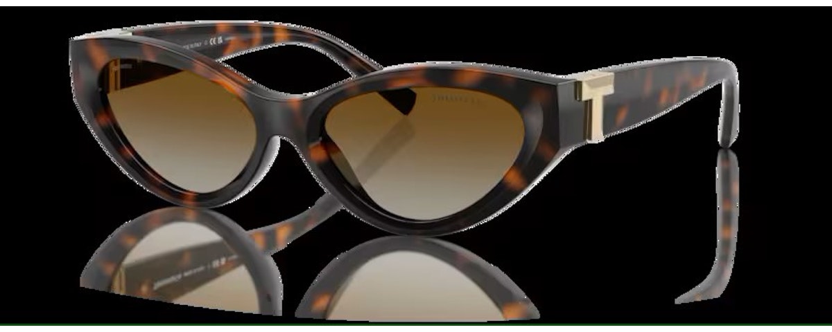 HAVANA / POLAR BROWN GRADIENT