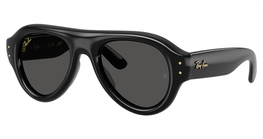 Ray-Ban RB4925 aviator sunglasses in Black/Ultra Black