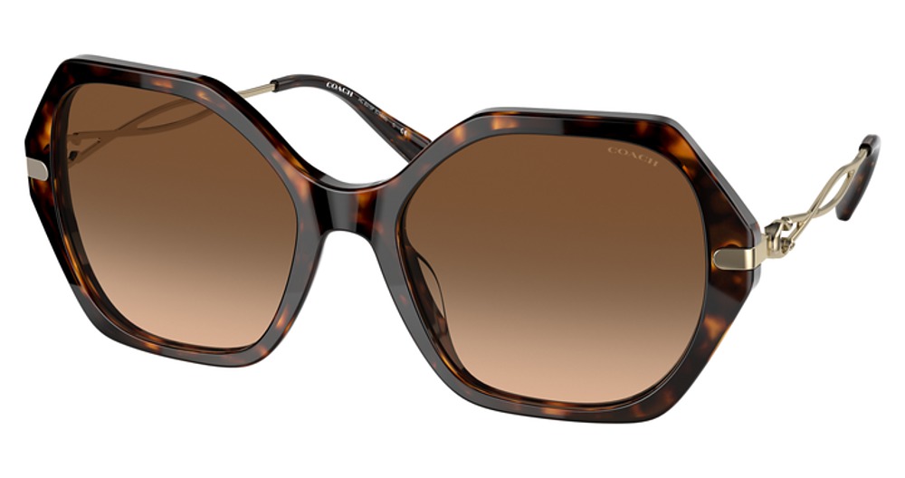 DARK TORTOISE / BROWN GRADIENT