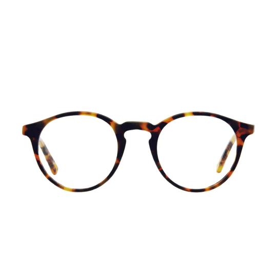 Tokyo Tortoise