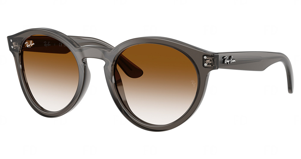 Ray-Ban RBR0505S sunglasses in Transparent Dark Grey/Clear Gradient Brown