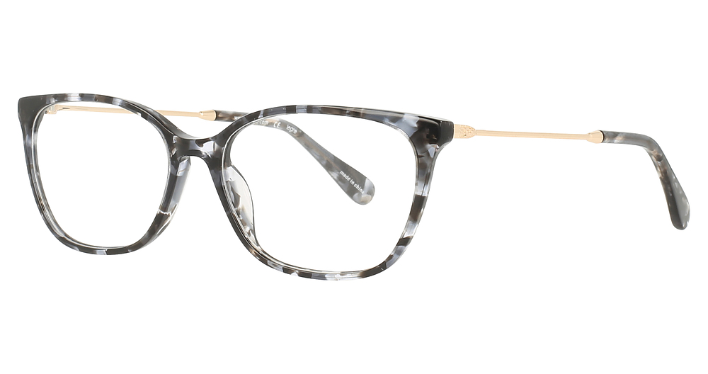 Black Tortoise/Gold