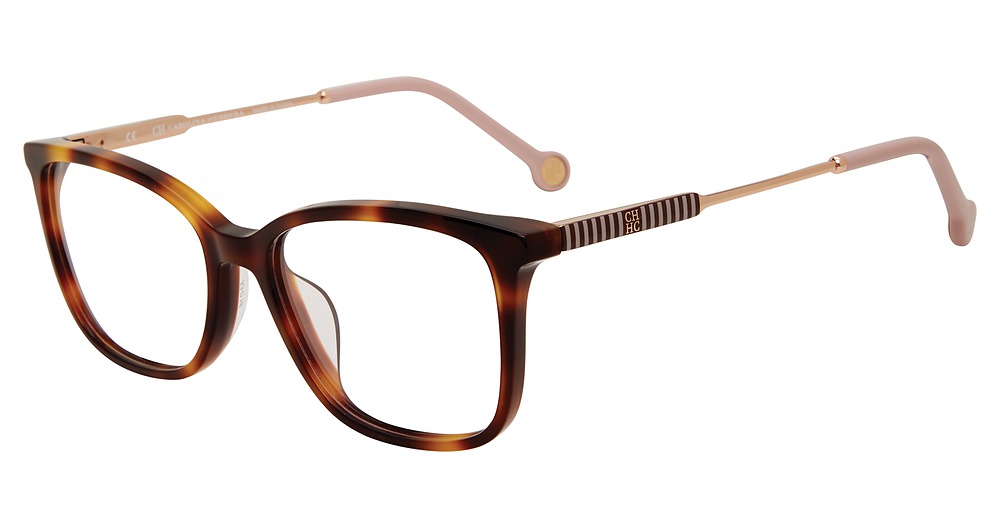 Tortoise 0752