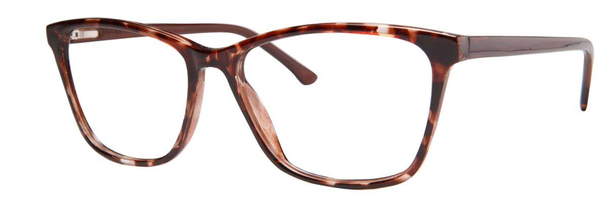 Brown Tortoise