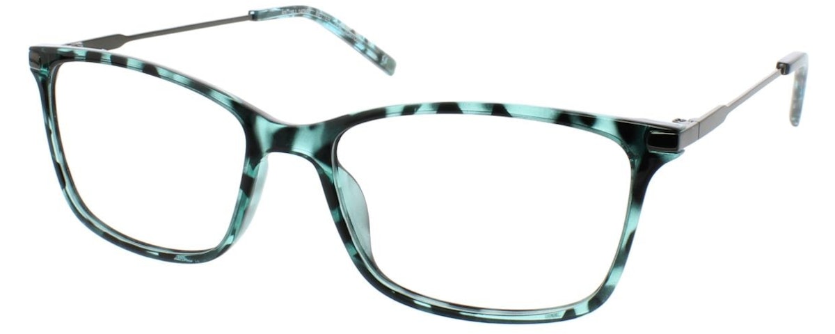 TEAL TORTOISE