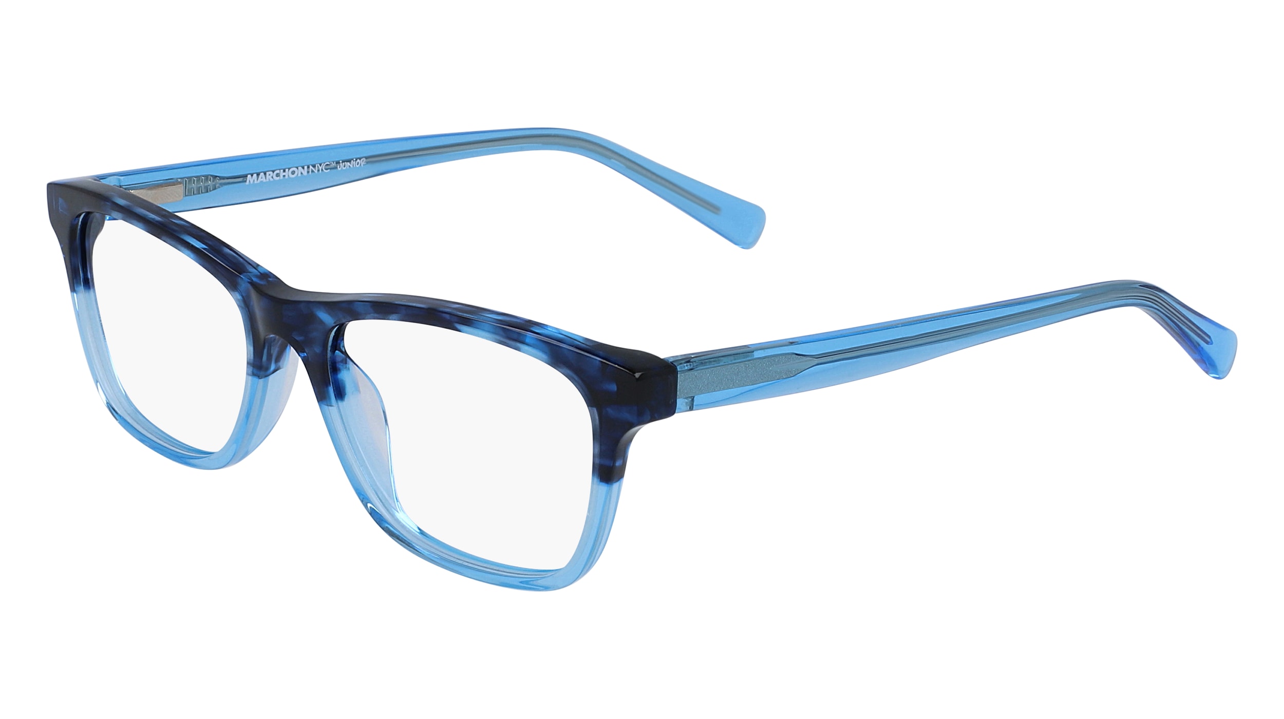 BLUE TORTOISE GRADIENT