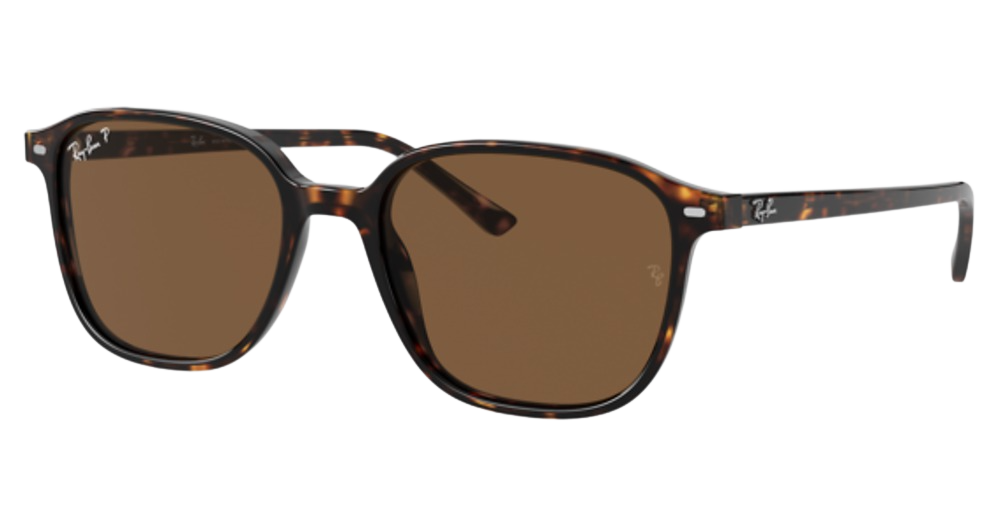 Ray-Ban RB2193F LEONARD round sunglasses in Tortoise/B 15 Brown