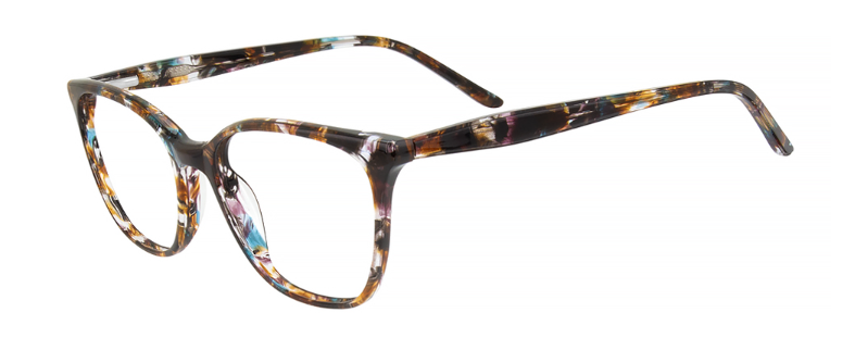 Teal Tortoise