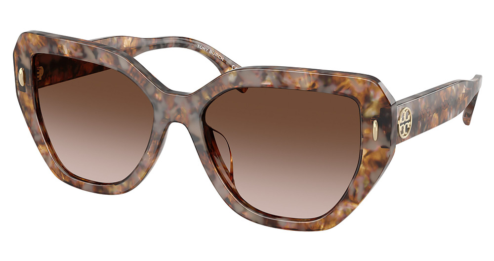 BROWN TORTOISE / Brown Gradient